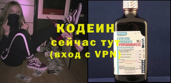 дмт Арсеньев
