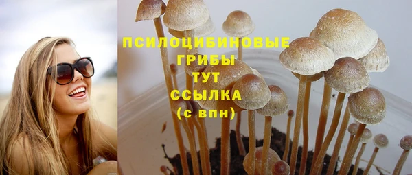 ешки Армянск