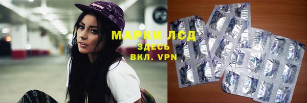 мяу мяу мука Аркадак