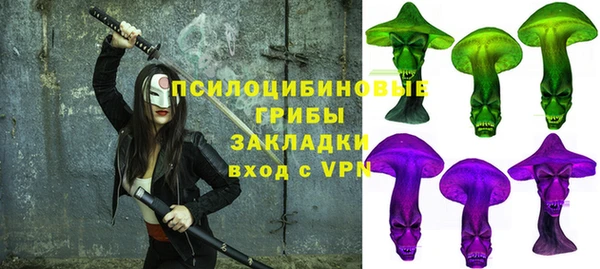 дмт Арсеньев