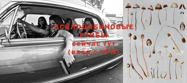 ешки Армянск