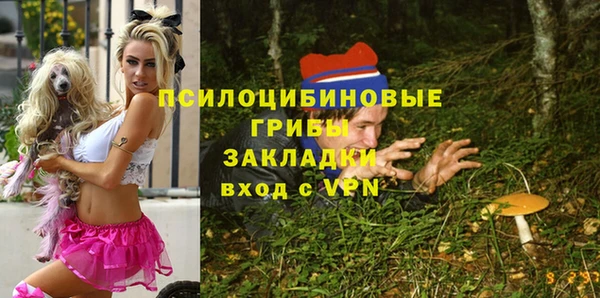 мяу мяу мука Аркадак