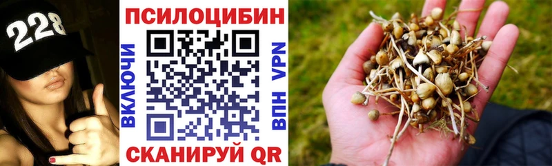 наркошоп  Рудня  Псилоцибиновые грибы ЛСД 